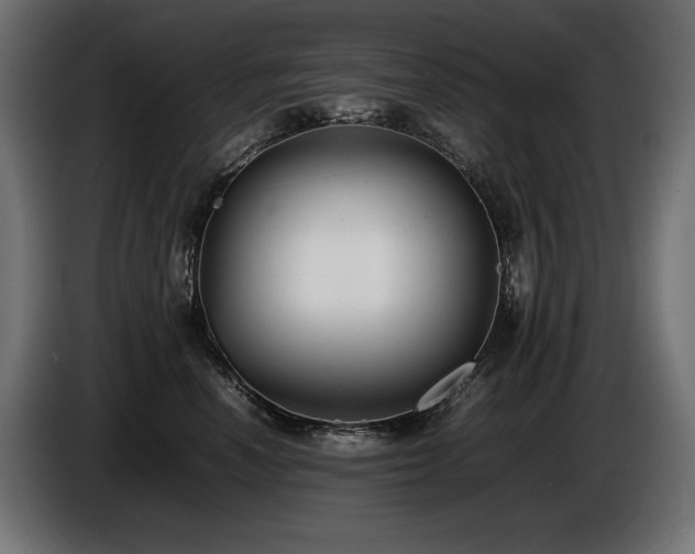 X0000086720666200704131045