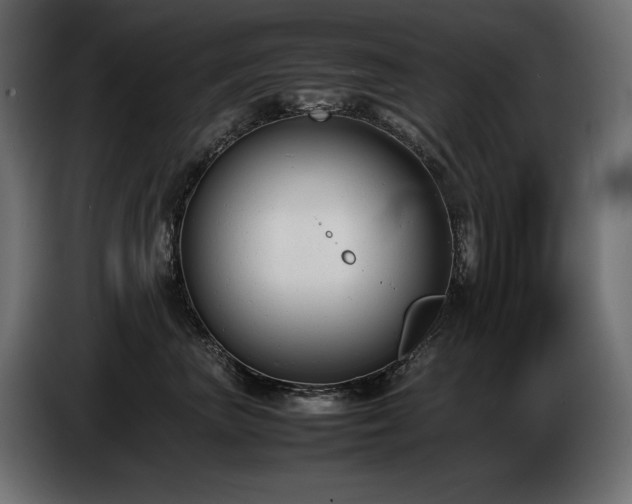 X0000086720667200704131045