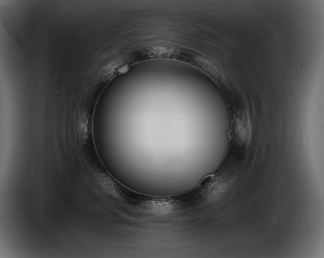 X0000086720668200704131046