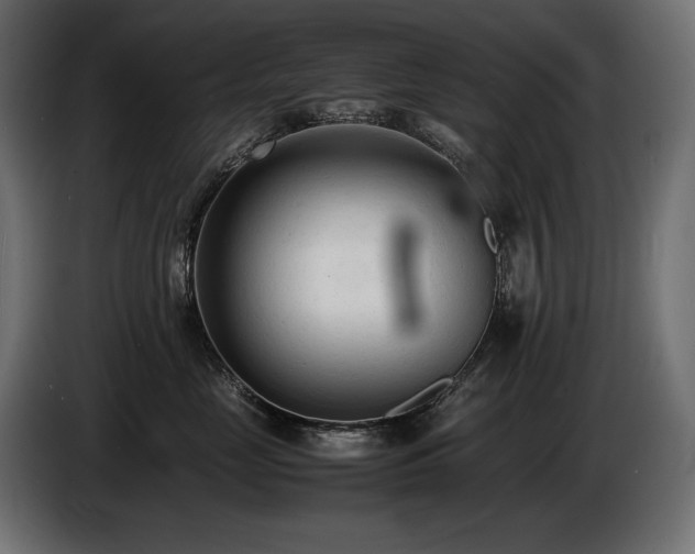 X0000086720669200704131046