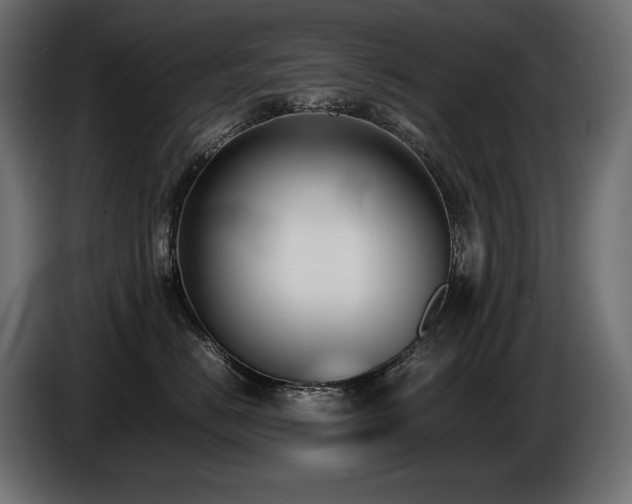 X0000086720670200704131046