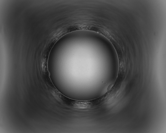 X0000086720671200704131046
