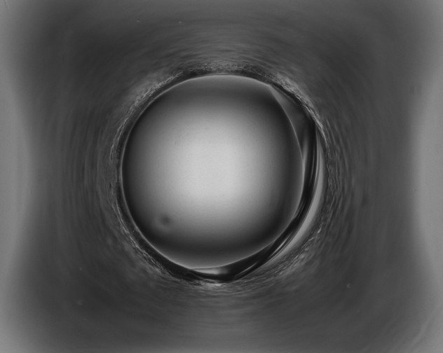 X0000086720673200704131045