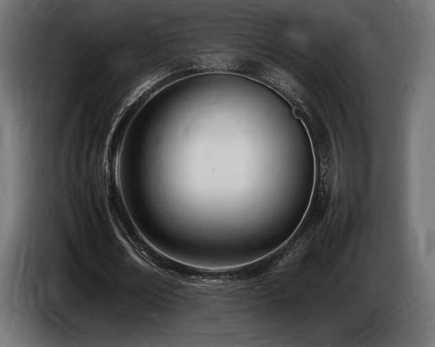 X0000086720674200704131045