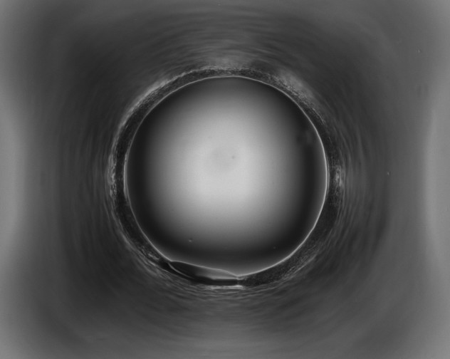 X0000086720676200704131045