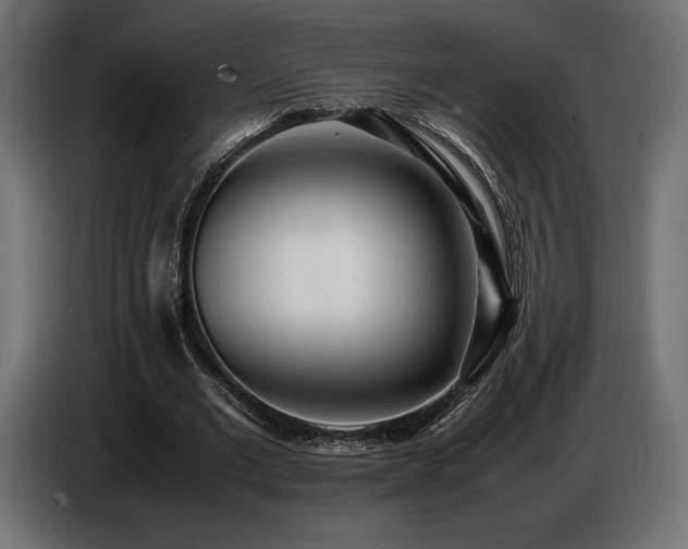 X0000086720677200704131045