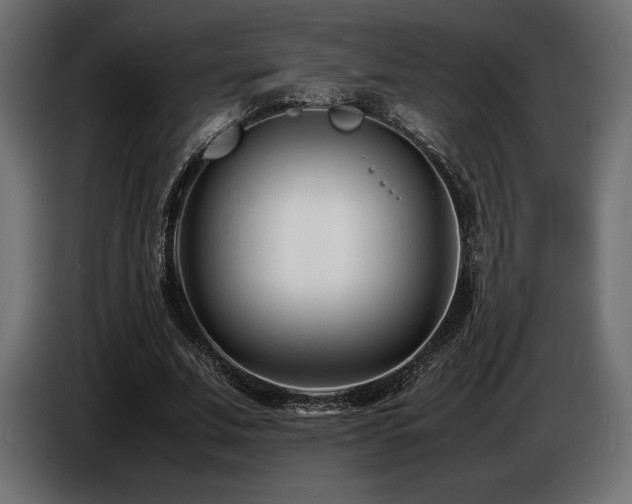 X0000086720679200704131045