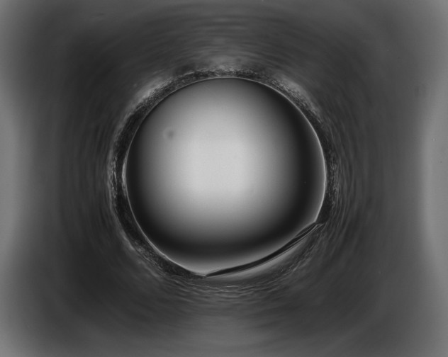 X0000086720680200704131045