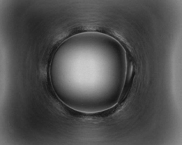 X0000086720681200704131045
