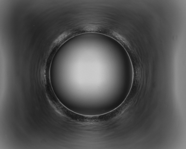 X0000086720682200704131045