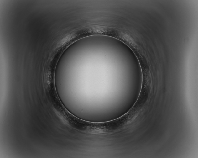 X0000086720683200704131045