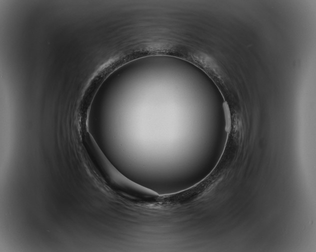 X0000086720684200704131045