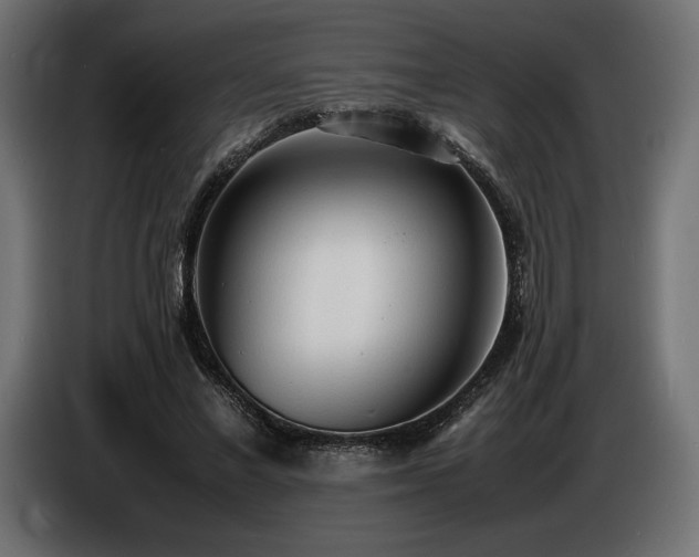 X0000086720685200704131045