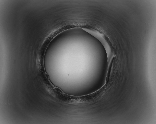 X0000086720688200704131045
