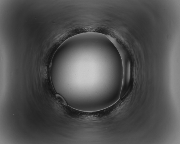 X0000086720689200704131045