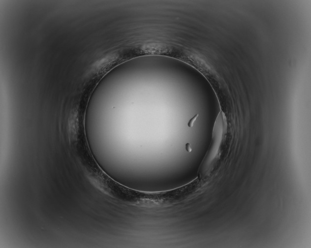 X0000086720690200704131045