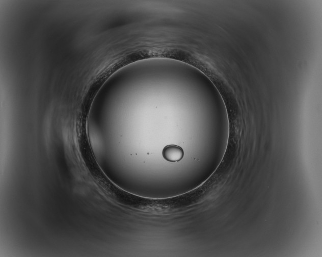 X0000086720691200704131045