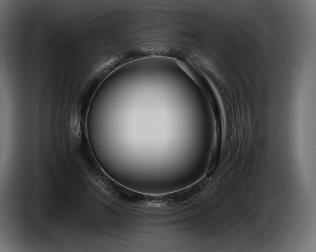 X0000086720692200704131045