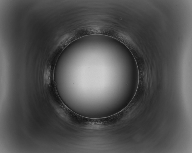 X0000086720694200704131045