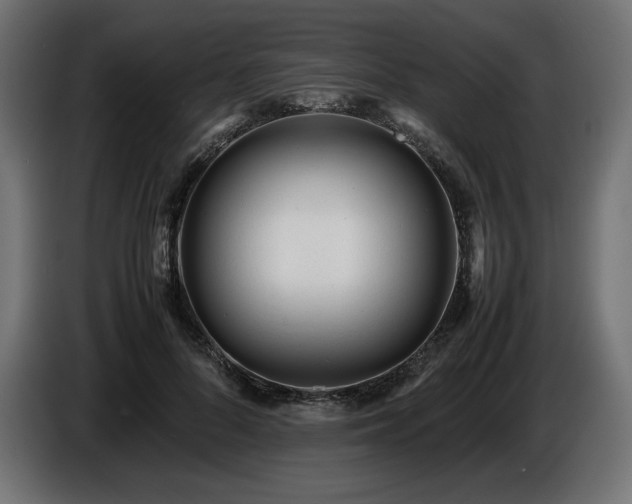 X0000086720696200704131045