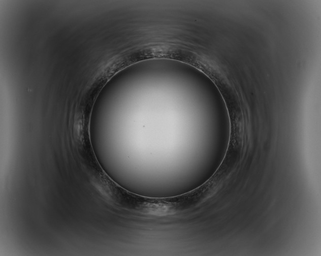 X0000086720698200704131044