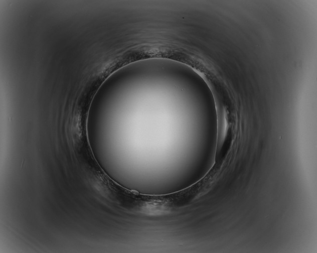 X0000086720700200704131044