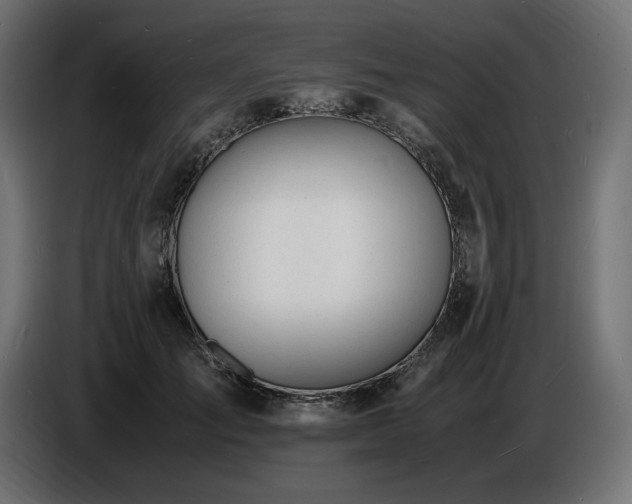 X0000086720701200704131044