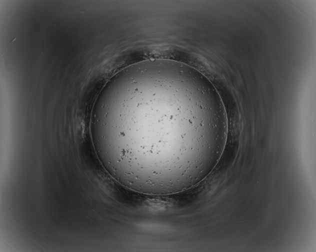 X0000086720703200704131044