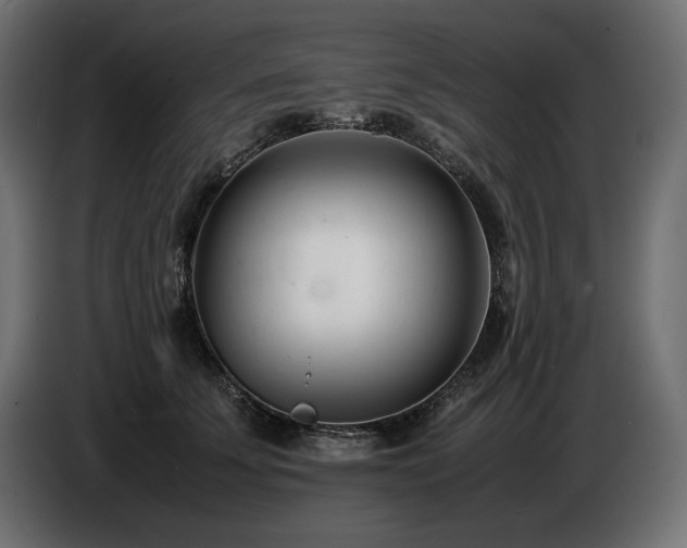 X0000086720707200704131044