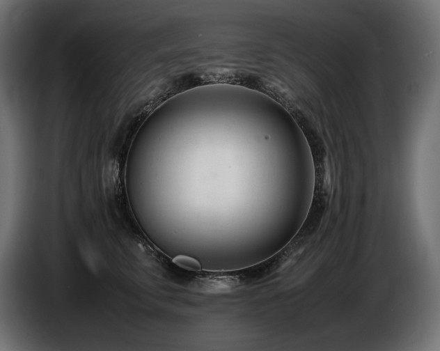 X0000086720711200704131044