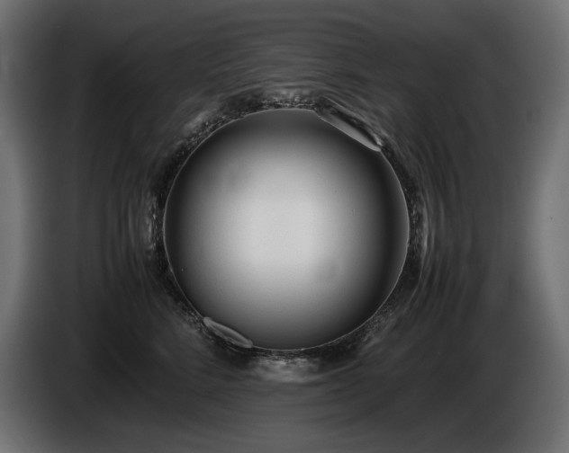 X0000086720712200704131044