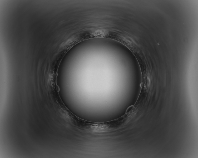 X0000086720714200704131044