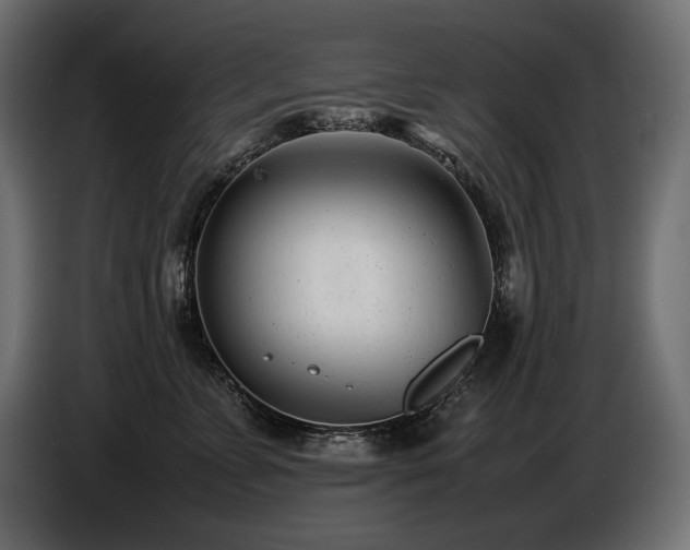 X0000086720715200704131044