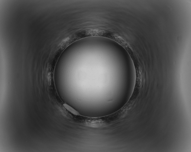 X0000086720716200704131044