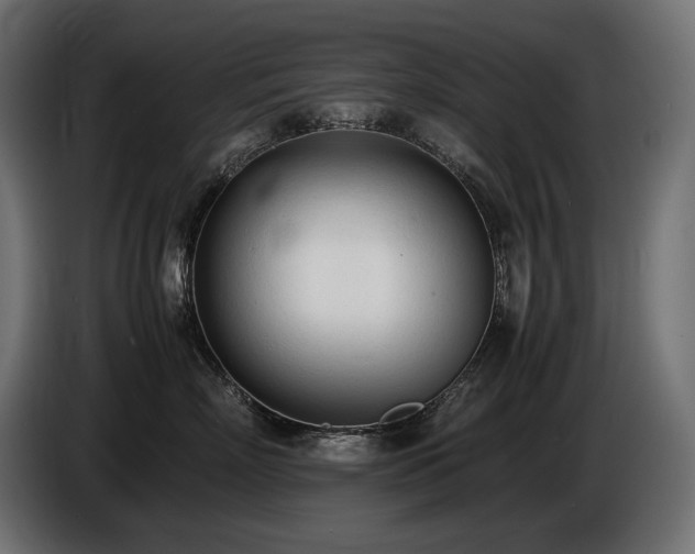 X0000086720718200704131044