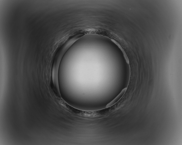 X0000086720720200704131044