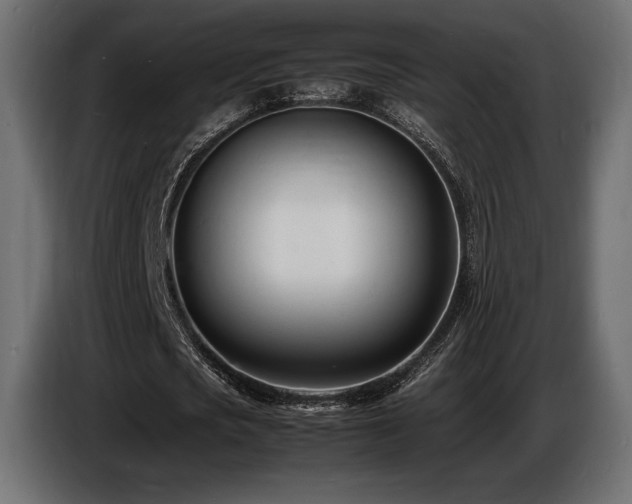 X0000086720721200704131043