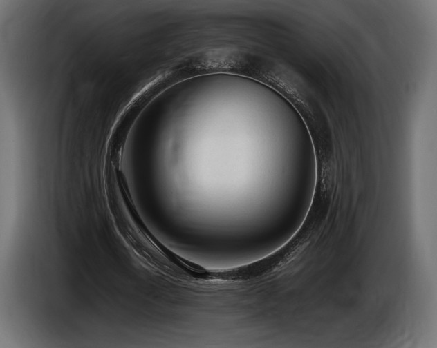X0000086720722200704131043