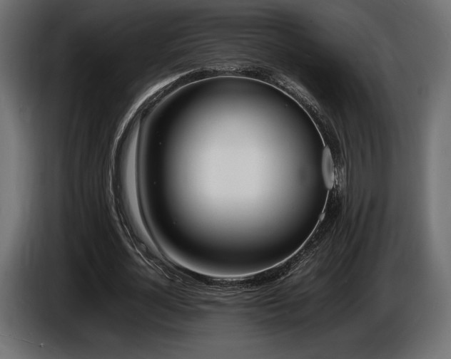 X0000086720724200704131043