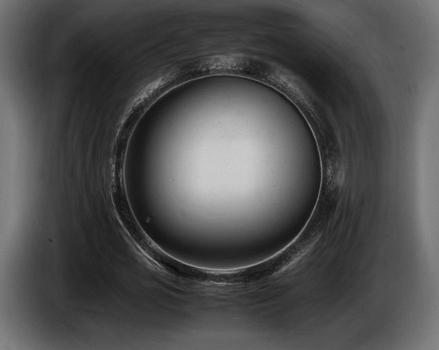 X0000086720725200704131043
