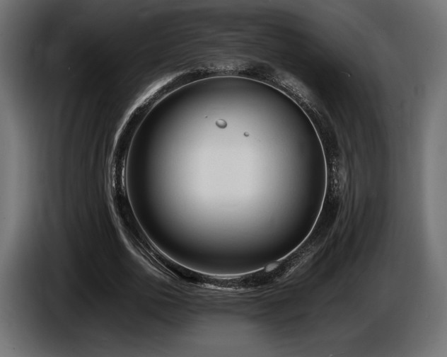 X0000086720726200704131043