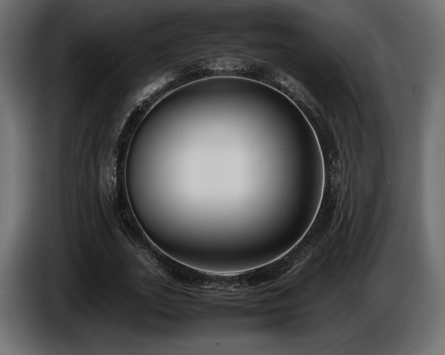 X0000086720727200704131043