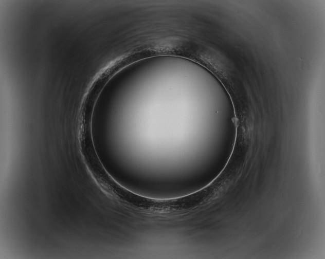X0000086720728200704131044