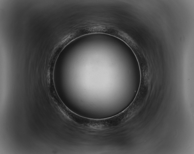 X0000086720729200704131044