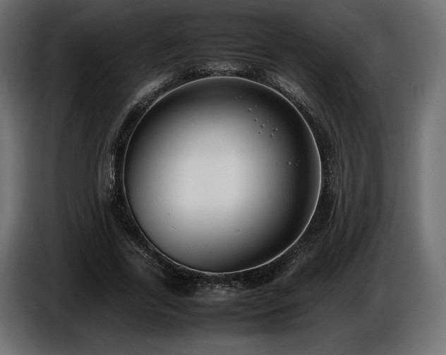X0000086720731200704131044