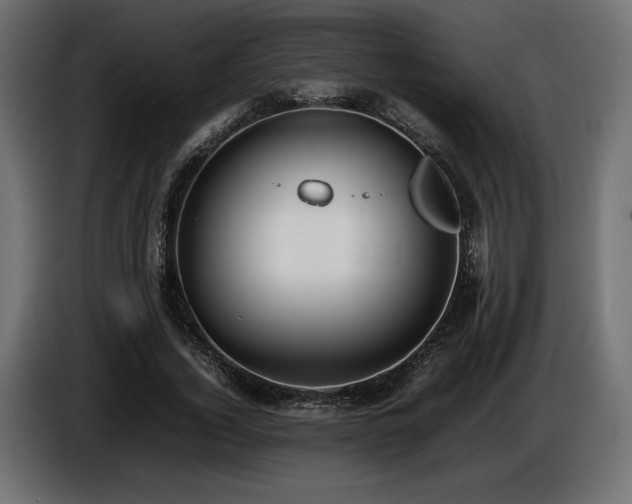 X0000086720732200704131044