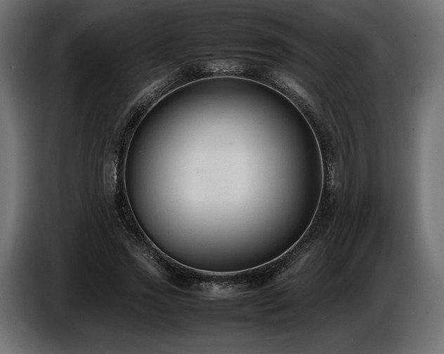 X0000086720733200704131044