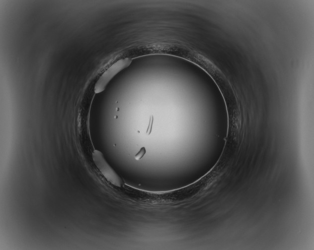 X0000086720734200704131044