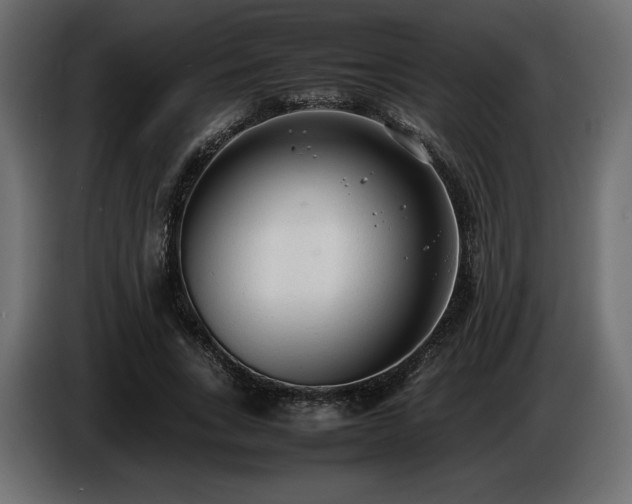X0000086720735200704131044