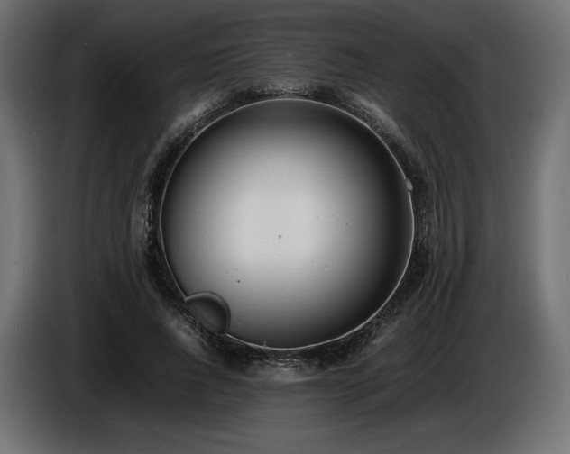 X0000086720736200704131044